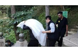 红桥遇到恶意拖欠？专业追讨公司帮您解决烦恼